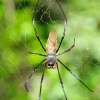 dsc_5033_7645_1