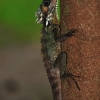 dsc_6667_5757