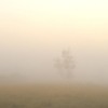 pca_fgu5003_net