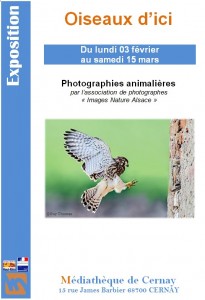 Exposition Oiseaux d'Alsace à Cernay