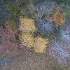 dji_0670