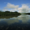 Un bras de l’Amazone dans les environ de Manaus (Brésil) © Jean Barbery